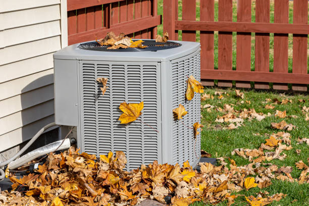 Best HVAC Maintenance Near Me  in Clermont, FL